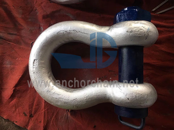 European Type Bow Shackle