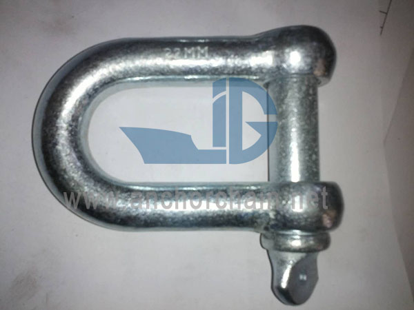 European Type Dee Shackle