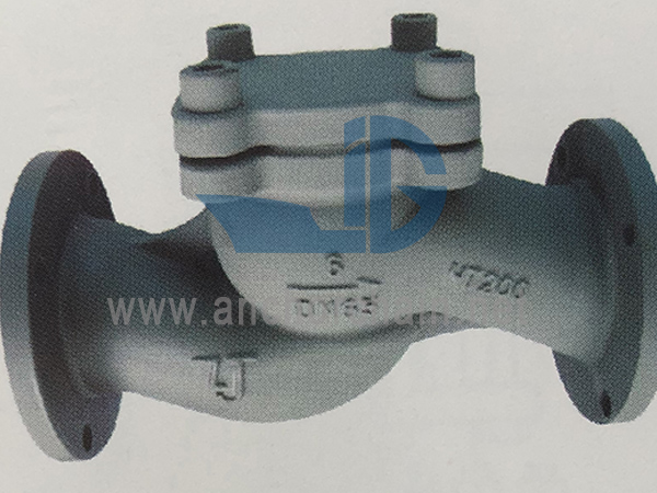 GBT 592 Marine Cast Iron Flanged Check Valves