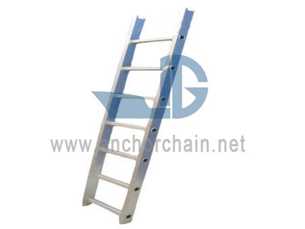 Marine Vertical Ladder