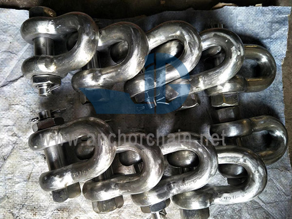 US Secutity Dee Shackles G2150