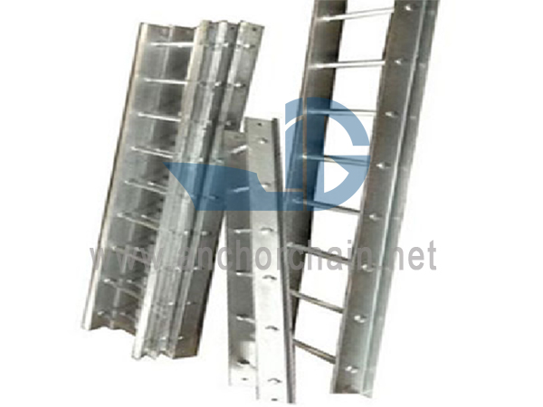 Vessel Stainless Steel Vertical Ladder